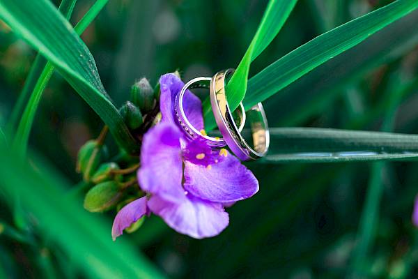 Svatební fotograf Jakub Homolka / Foto 12